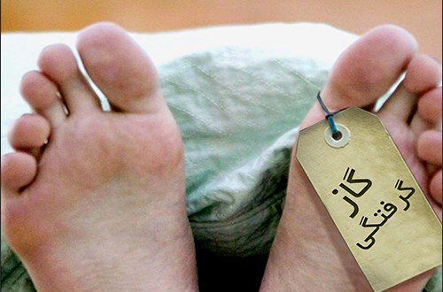 راهکارهایی برای پایان دادن به کابوس گاز گرفتگی گازگرفتگی