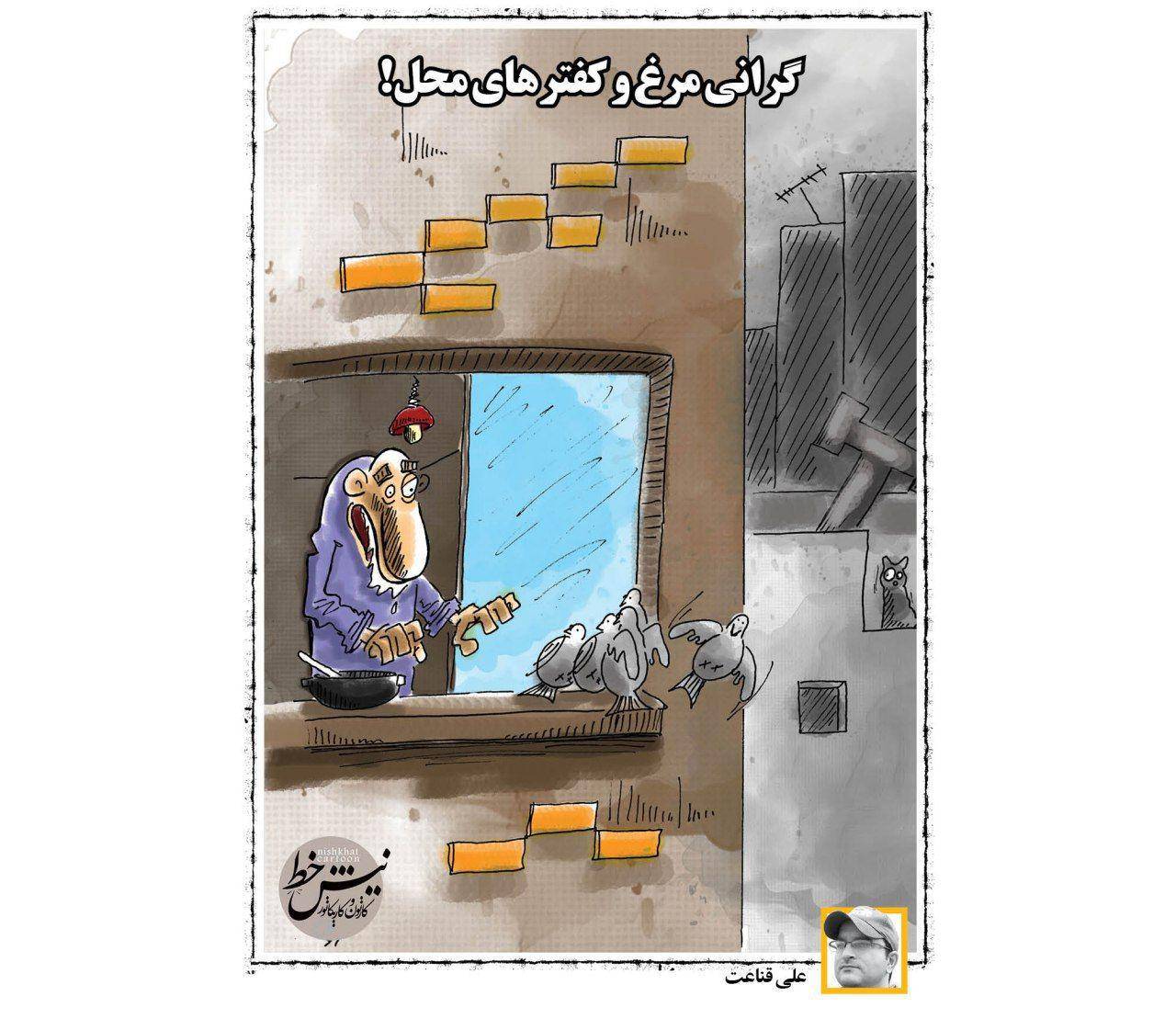 گرانی مرغ و کفترهای محل!