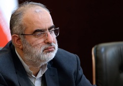 حسام الدین آشنا: ترامپ روی دوره بعدی ریاست جمهوری خود قمار کرد / قمارباز گاه تمام هستی خود را میبازد