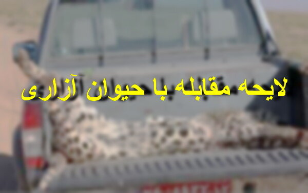 چه مجازاتی در انتظار حیوان آزارها است؟ لایحه مقابله با حیوان آزاری