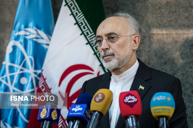 صالحی: روسای جمهور ایران و فرانسه برای حفظ برجام در تلاش هستند دیدار یوکیا آمانو، رییس آژانس بینالمللی انرژی اتمی با علی اکبر صالحی