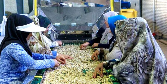 ایجاد ۱۰۰ هزار فرصت شغلی جدید در روستاها 6334
