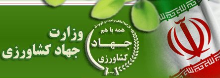 وزارت جهاد کشاورزی مسئولیتی در ثبت سفارش و واردات برنج ندارد وزارت جهاد کشاورزی