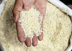 برنجهای وارداتی از هفته آینده ترخیص میشود/ توزیع پس از فصل برداشت داخلی برنج