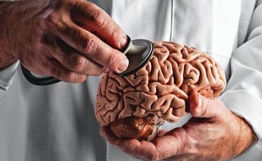 کدام قسمت مغز موجب تغییر میزان هوشیاری میشود کدام قسمت مغز موجب تغییر میزان هوشیاری میشود