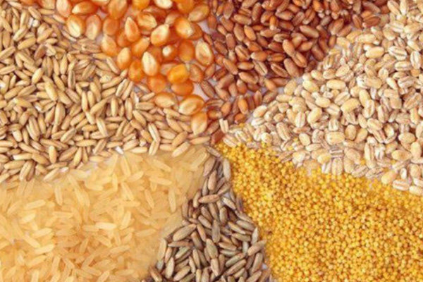 توزیع سیستماتیک نهاده های دامی/ واحدهایی که جوجه ندارند، نهاده نمی گیرند توزیع سیستماتیک نهاده های دامی/ واحدهایی که جوجه ندارند، نهاده نمی گیرند