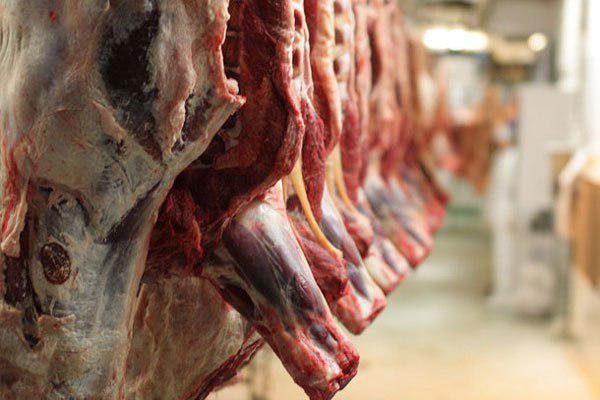 جدیدترین قیمت گوشت قرمز جدیدترین قیمت گوشت قرمز