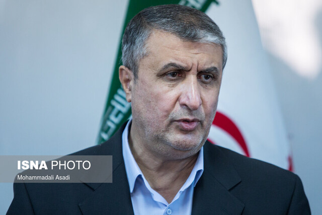 رییس سازمان انرژی اتمی وارد وین شد رییس سازمان انرژی اتمی وارد وین شد