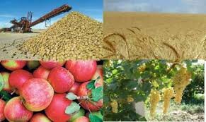 تصویب تسهیلات ۱۵ هزار میلیاردی برای خرید تضمینی، حمایتی و توافقی محصولات کشاورزی تصویب تسهیلات ۱۵ هزار میلیاردی برای خرید تضمینی، حمایتی و توافقی محصولات کشاورزی