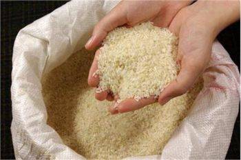 قیمت برنج را نمی‌توان دستوری تعیین کرد