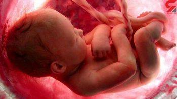 انجماد جنین‌ها در درمای منفی ۱۹۶ درجه/ آمار نوزادانی که حاصل فریز جنین در ایران هستند