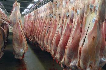 مافیای گوشت | مافیا اجازه ارزان شدن گوشت را نمی دهند
