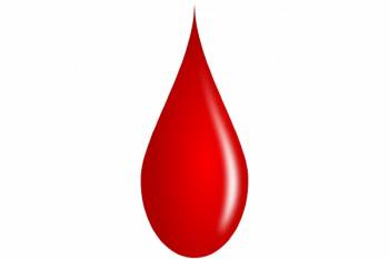 خونسازی و علل کم خونی | مواد غذایی و مکمل های مفید برای خون سازی