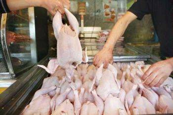 چرا قیمت گوشت مرغ تا این اندازه در بازار نوسان دارد؟