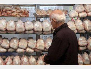 چرا قیمت گوشت مرغ کمی کاهش پیدا کرد؟