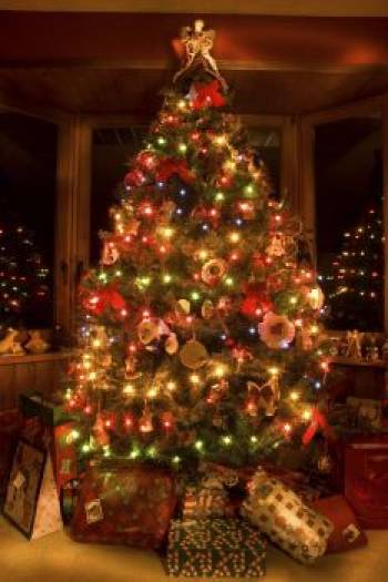 زیباترین درختان کریسمس