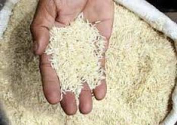 تکلیف برنج دپو شده در بنادر مشخص شد