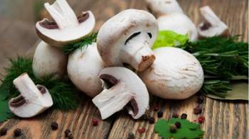 5 دلیل برای خوردن قارچ در دوران اپیدمی کرونا