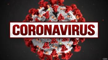 کشف داروی طبیعی برای نابودی ویروس کرونا