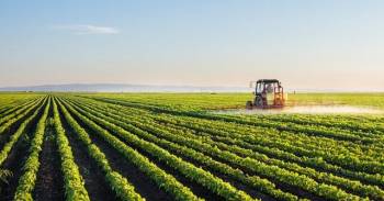 بازه زمانی معین برای قیمت گذاری خرید تضمینی محصولات اساسی کشاورزی تعیین شد