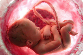 دانستنی های جالب درباره قلب جنین