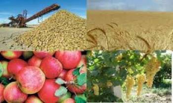 تصویب تسهیلات ۱۵ هزار میلیاردی برای خرید تضمینی، حمایتی و توافقی محصولات کشاورزی