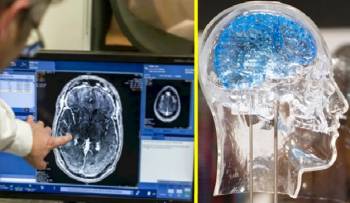 دسترسی متخصصان تجهیزات پزشکی به امکانات آزمایشگاه ملی نقشه‌برداری مغز