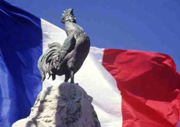 چرا خروس نماد تیم ملی فرانسه است؟